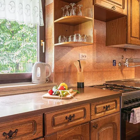 Podhamer Wellness Vineyard Holiday home