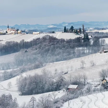 Podhamer Wellness Vineyard *