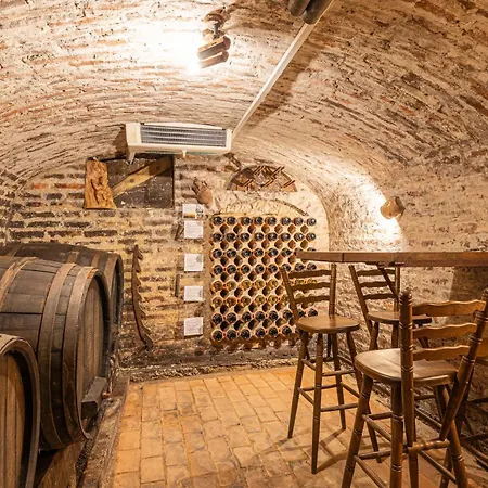 Σπίτι διακοπών Podhamer Wellness Vineyard Ljutomer