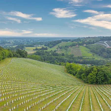 Σπίτι διακοπών Podhamer Wellness Vineyard