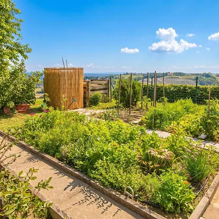 Podhamer Wellness Vineyard Σπίτι διακοπών Ljutomer