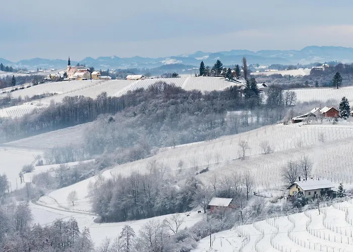 Podhamer Wellness Vineyard *