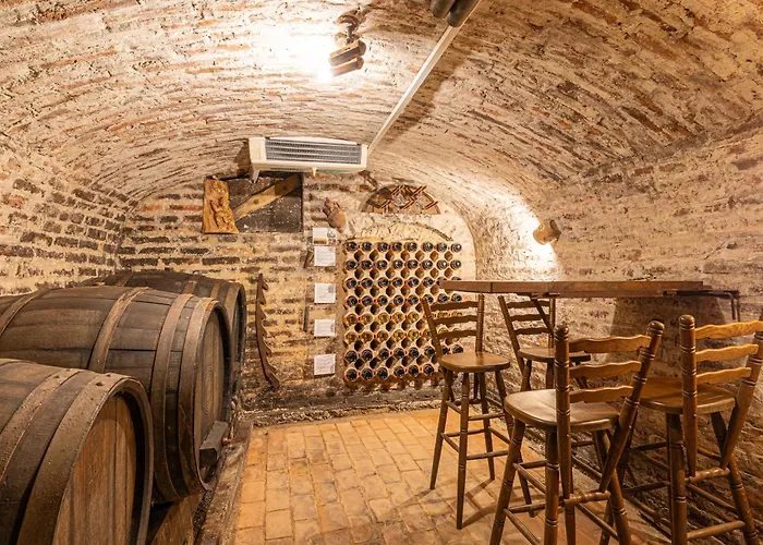 別荘 Podhamer Wellness Vineyard リュトメル